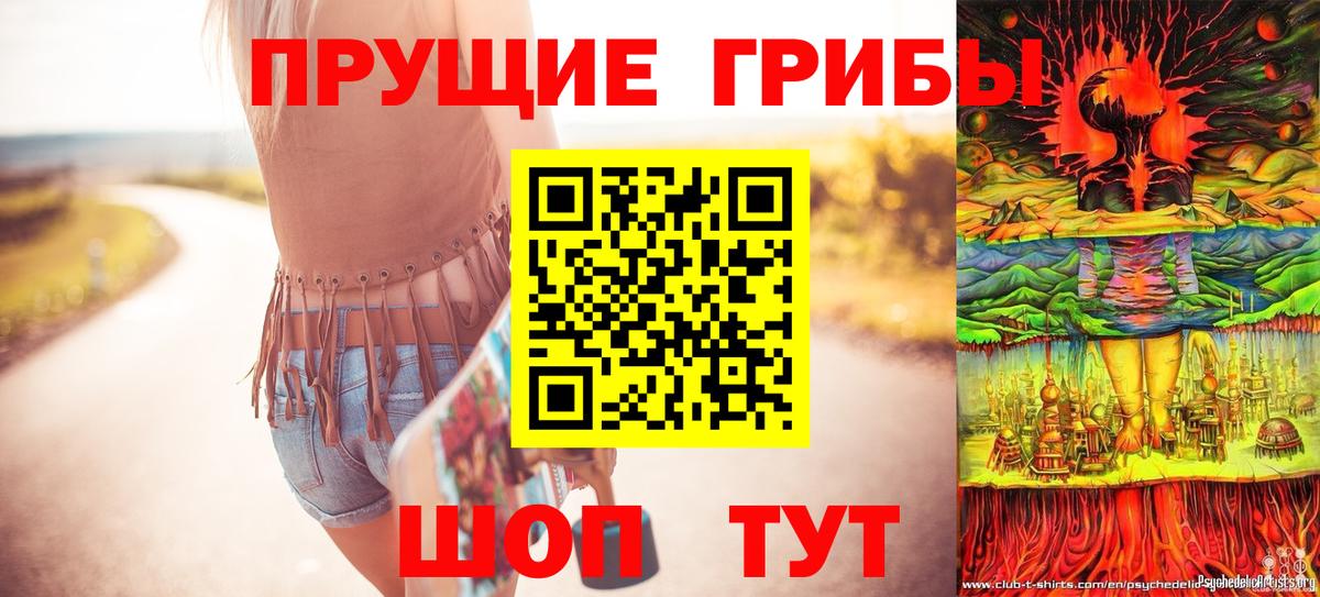 Ачхой-Мартан  Псилоцибиновые грибы Cubensis  Галлюциногенные грибы прущие грибы  купить закладку  Вход с VPN 