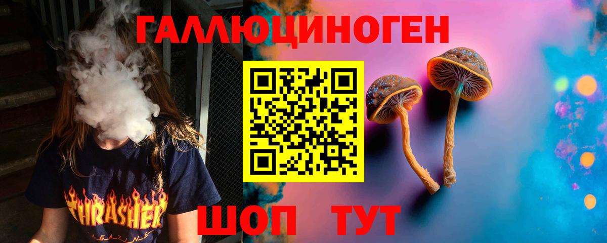 Псилоцибиновые грибы Psilocybine cubensis Ачхой-Мартан